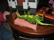 IMG_0489