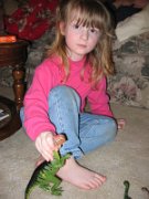 IMG_0492