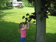 IMG_0742