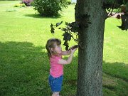 IMG_0744