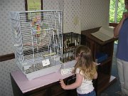 IMG_0818