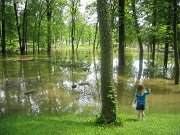 IMG_0895