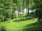 IMG_0901