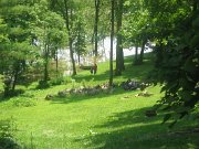 IMG_0902