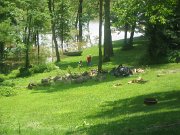 IMG_0903