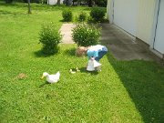 IMG_2557