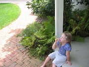 IMG_2791