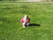 IMG_3681