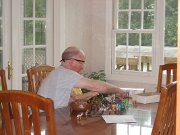 IMG_0652