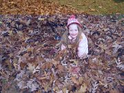 IMG_0951
