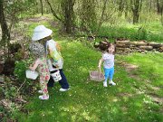 IMG_5307