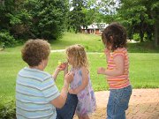 IMG_5466