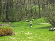 IMG_1729