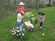 IMG_1740 - Copy