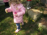 IMG_1786