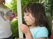 IMG_1890