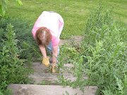 IMG_1896