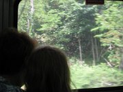 IMG_5258