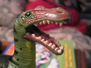 IMG_4204