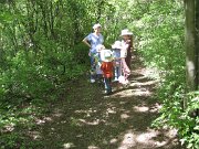 IMG_4617