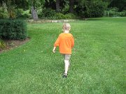 IMG_5529