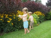 IMG_5536