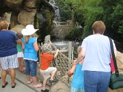 IMG_5568