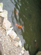 IMG_5570