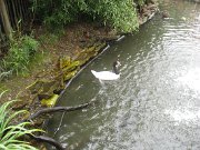 IMG_5572