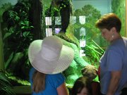 IMG_5573