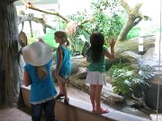 IMG_5574