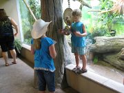 IMG_5575