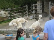 IMG_5579