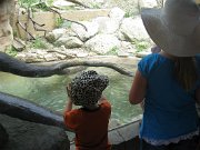 IMG_5584