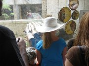 IMG_5586