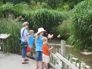 IMG_5605