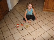 IMG_6455