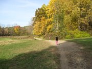 IMG_6590