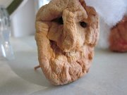IMG_0029