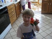 IMG_7868