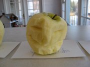 IMG_7881
