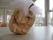 IMG_8088
