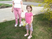 IMG_8208