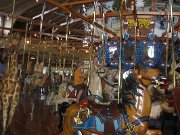 IMG_8973