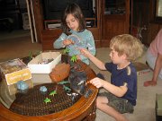 IMG_9420