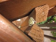 IMG_3277