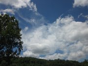 IMG_3491