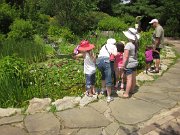IMG_3601