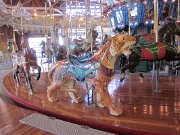 IMG_3637