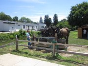 IMG_3706